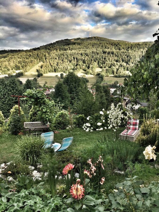 Willa Wierchy Szczyrk Kültér fotó